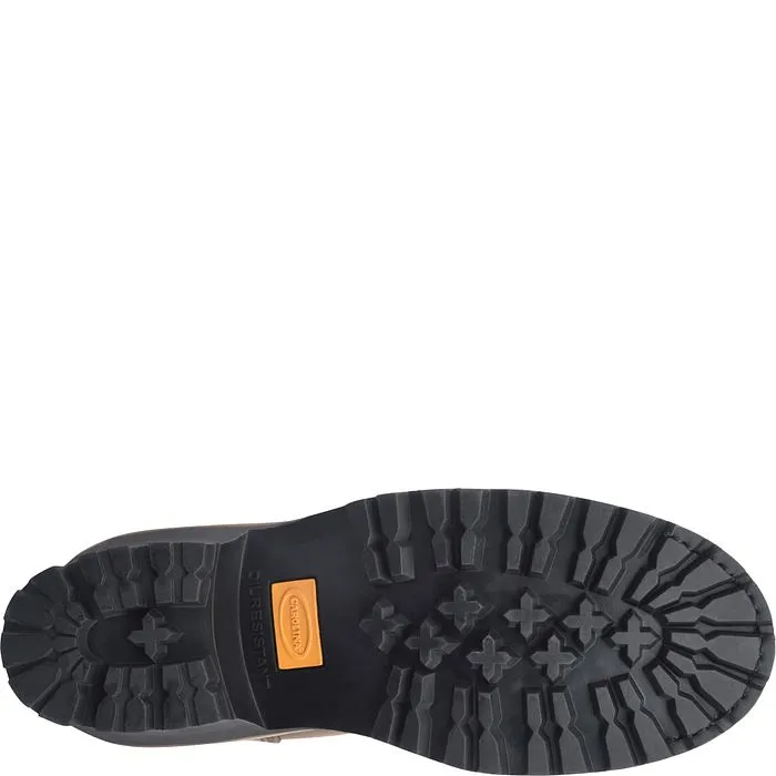 Carolina Men's Spruce 8'' Logger