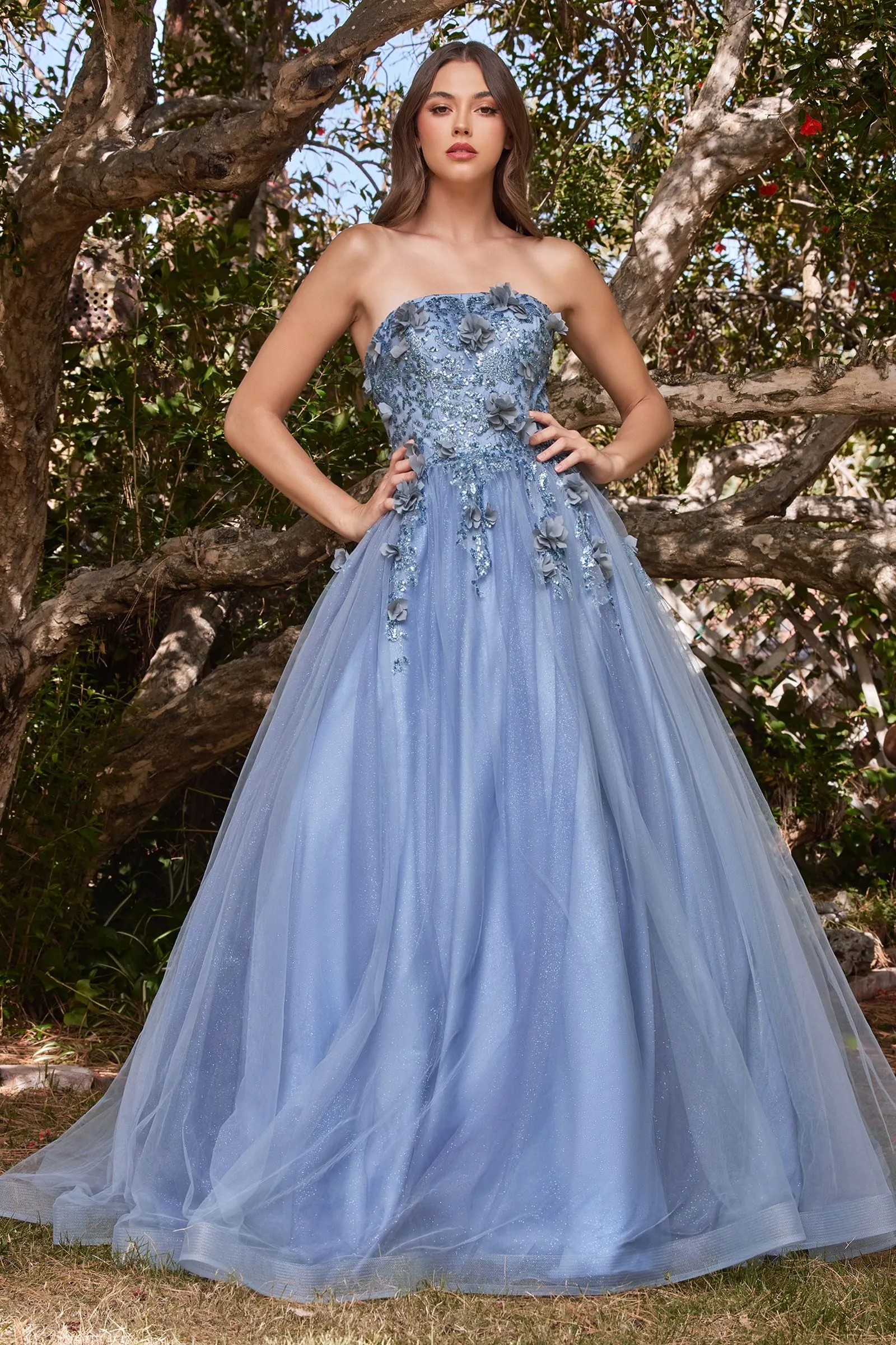 Glitter Tulle Ball Gown w/ Strapless Layer