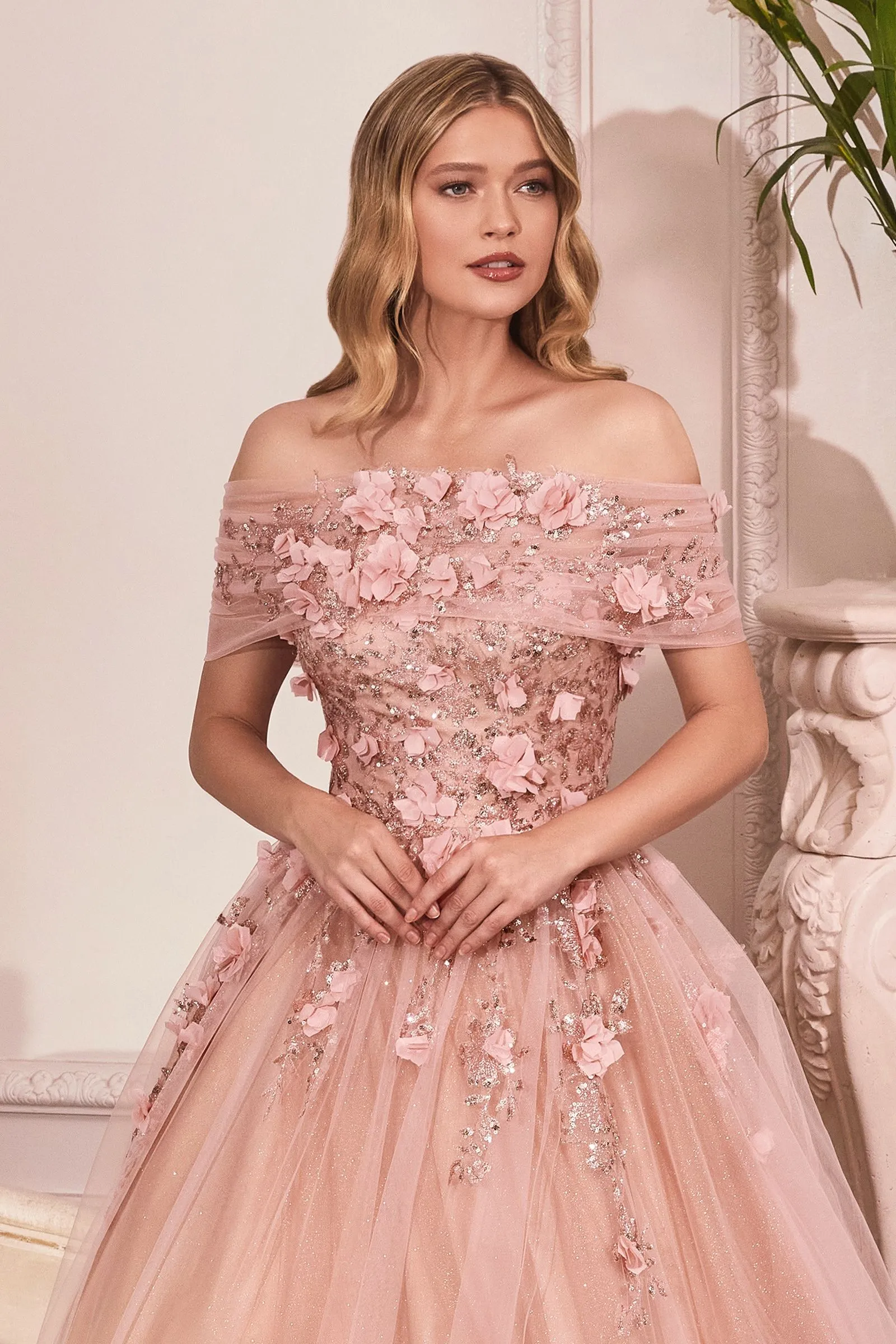 Glitter Tulle Ball Gown w/ Strapless Layer